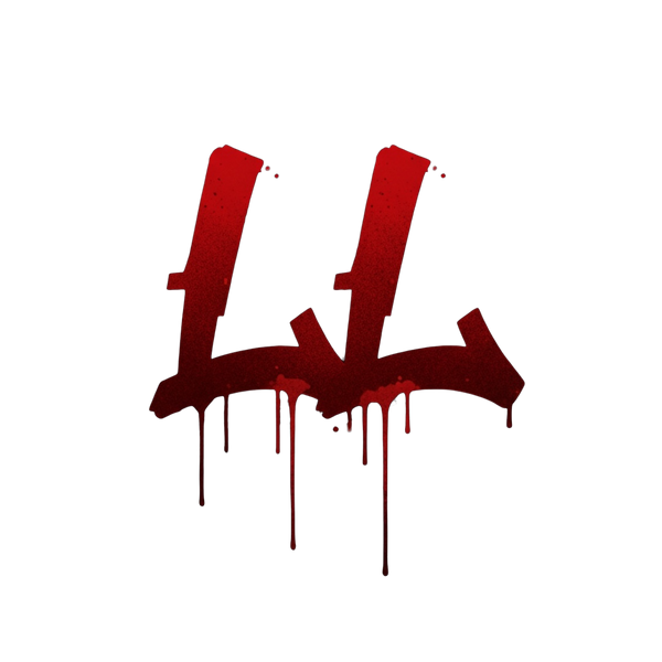 LL VISION
